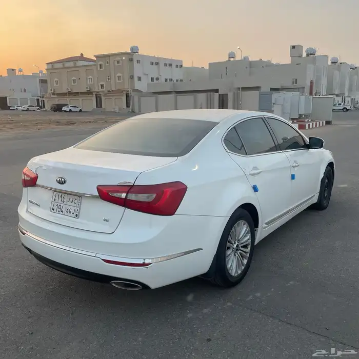 كادينزا 2015 5