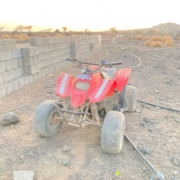 دباب سويدي 2