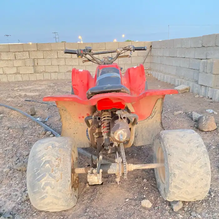 دباب سويدي 1