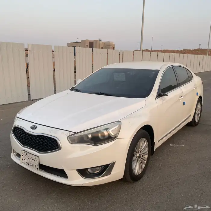 كادينزا 2015 2