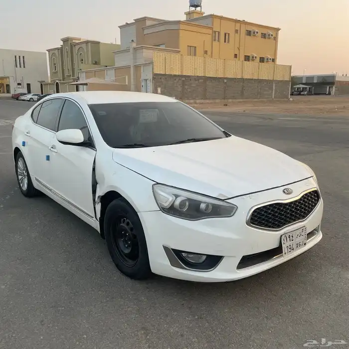 كادينزا 2015 0