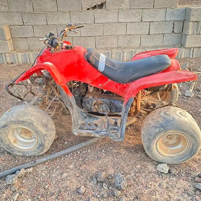 دباب سويدي 3