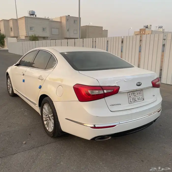 كادينزا 2015 3