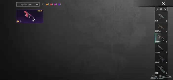 حساب ببجي للبيع 43