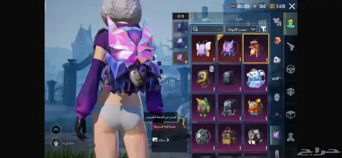 حساب ببجي للبيع 4