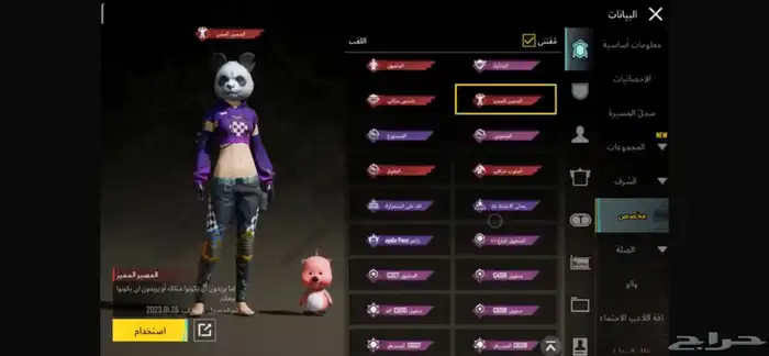 حساب ببجي للبيع 22