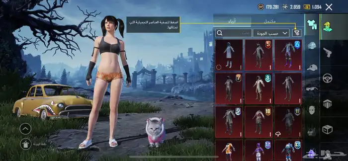 حساب ببجي من السيزون 2 2