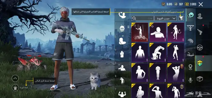 حساب ببجي 27