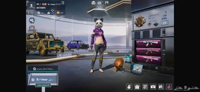 حساب ببجي للبيع 23