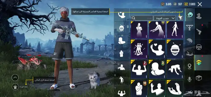 حساب ببجي 28