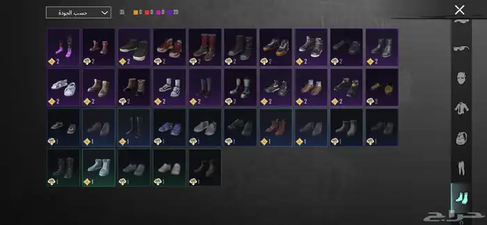 حساب ببجي 20