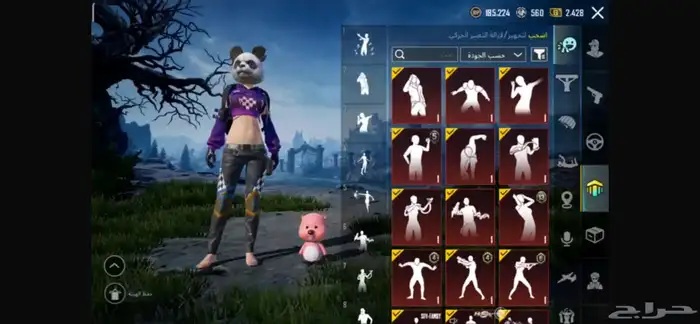 حساب ببجي للبيع 10