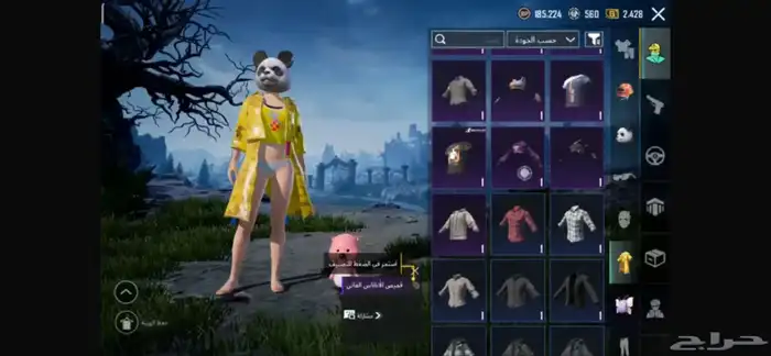 حساب ببجي للبيع 3