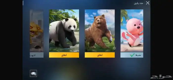 حساب ببجي للبيع 21