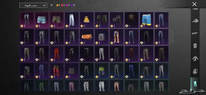 حساب ببجي 19