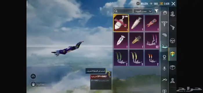 حساب ببجي للبيع 13