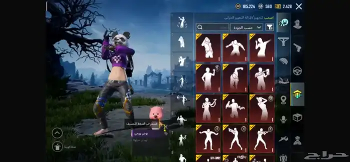 حساب ببجي للبيع 8