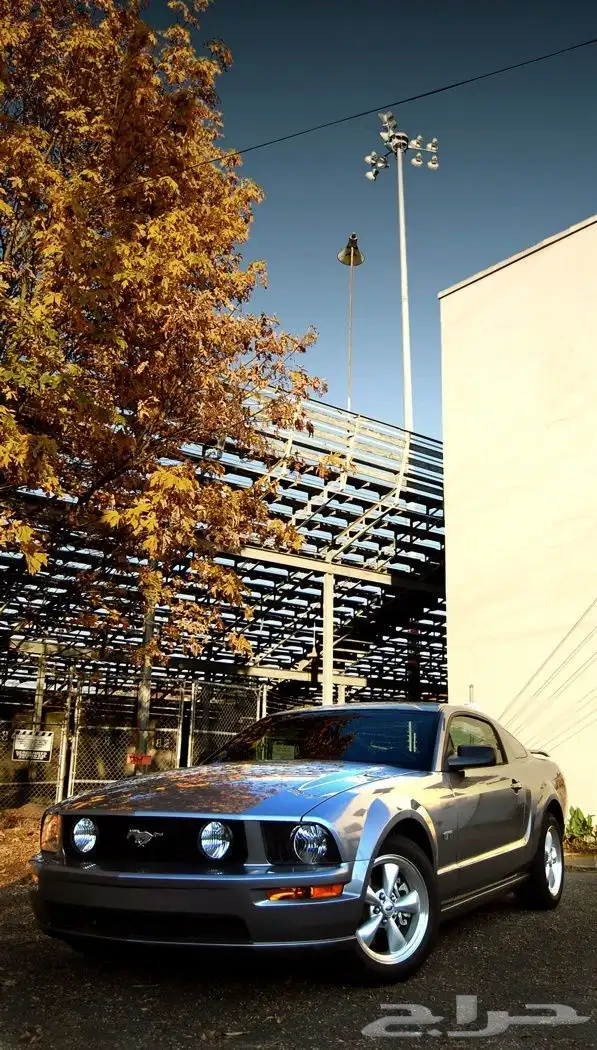 أبحث عن موستنج GT 2005 2009 3