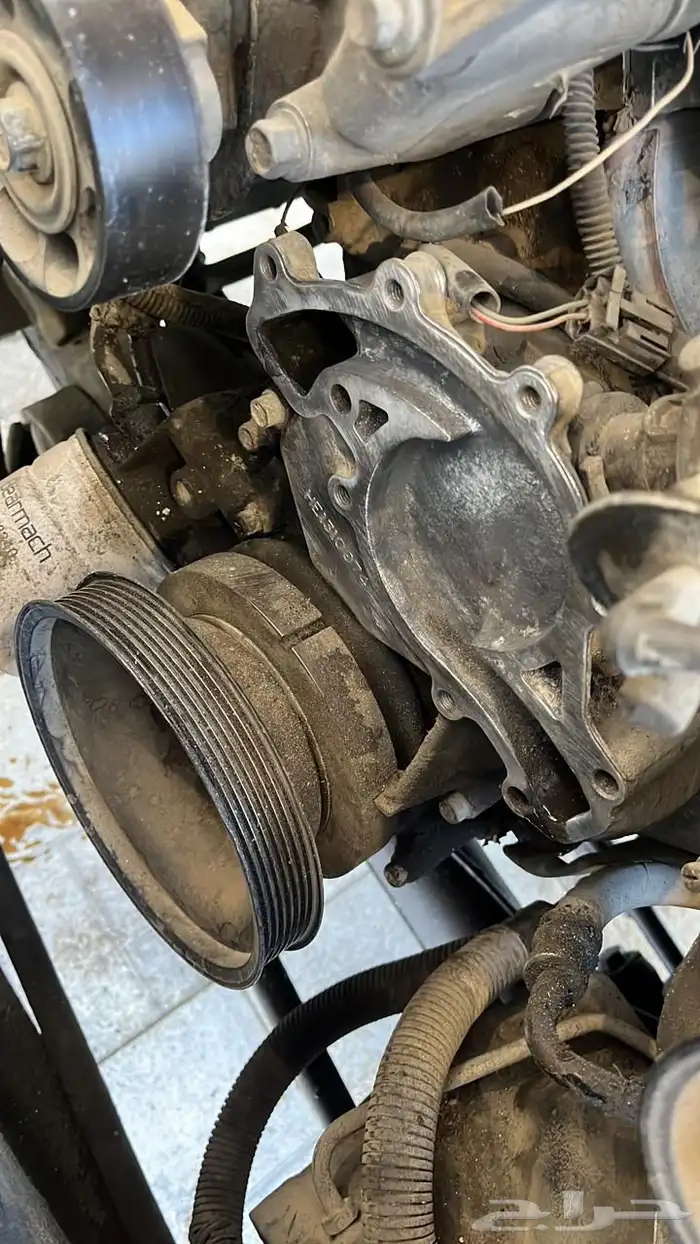 ديسكفري trophy camel 14