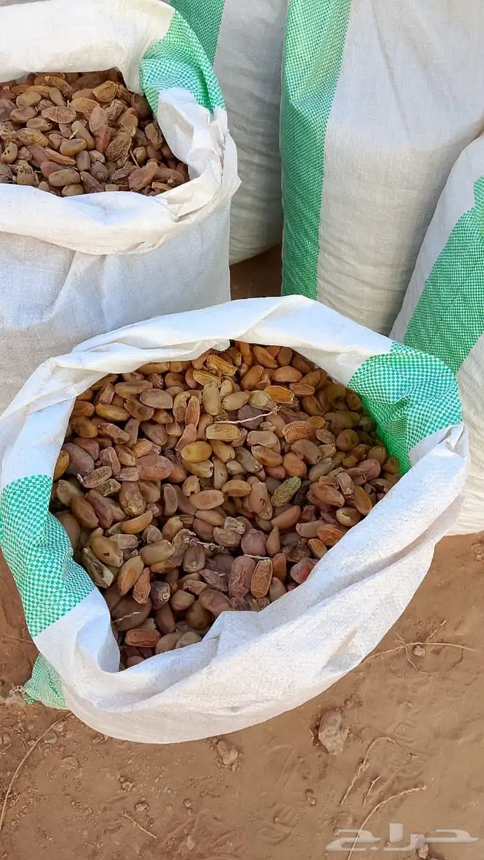 للبيع تمر اعلاف فوق 1300 كيس 3