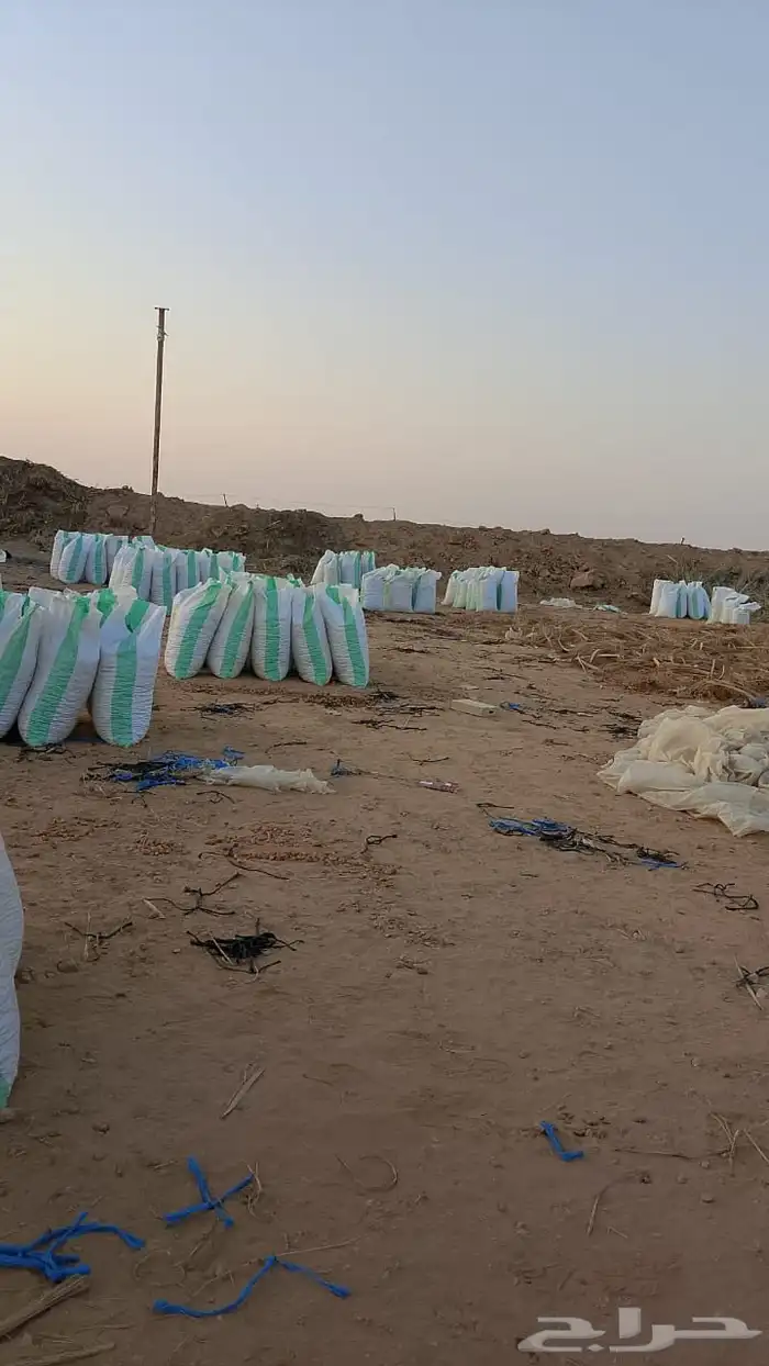 للبيع تمر اعلاف فوق 1300 كيس 4