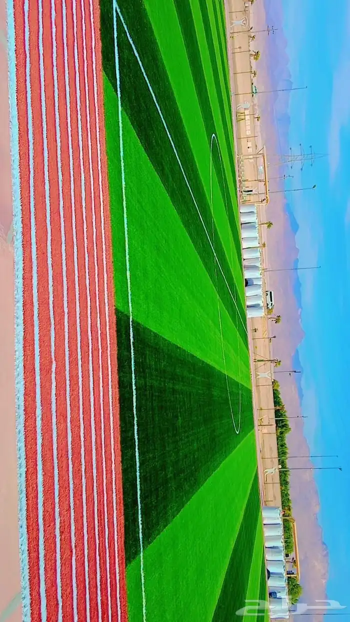 نجيل صناعي اخضر وملون 5