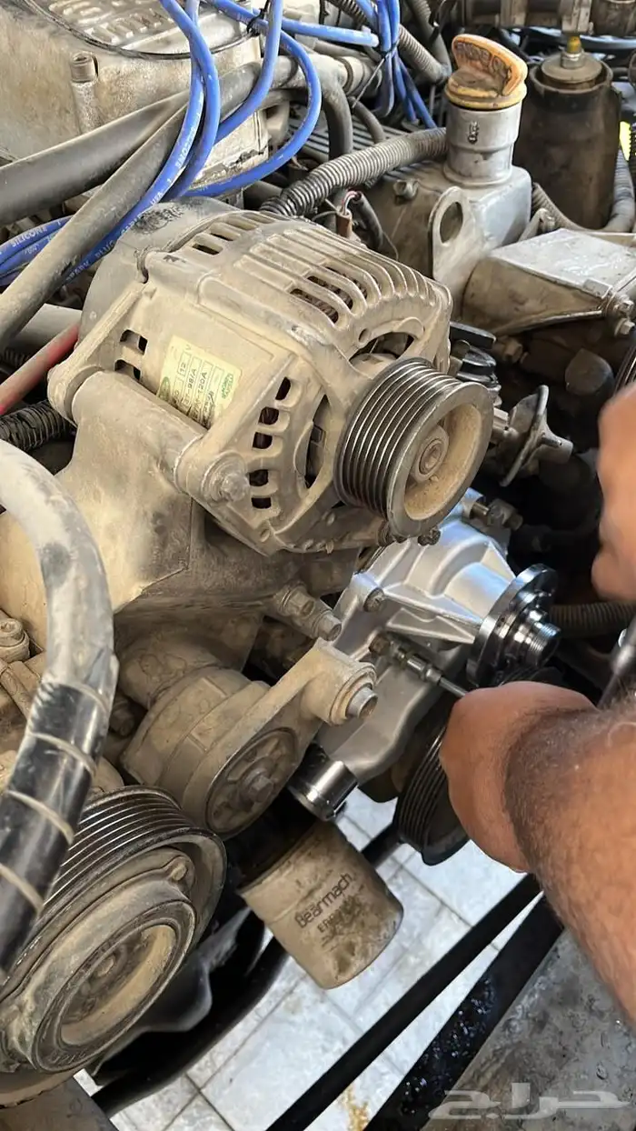 ديسكفري trophy camel 21