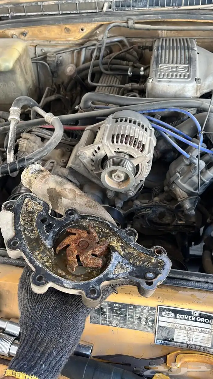 ديسكفري trophy camel 15