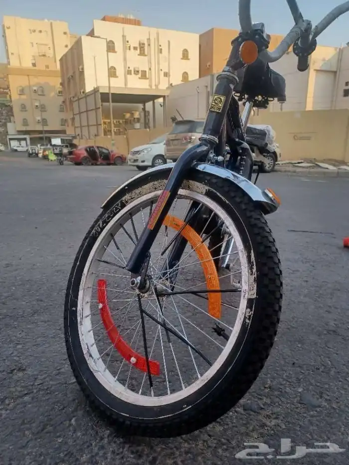 رامبو مقاس 20 0