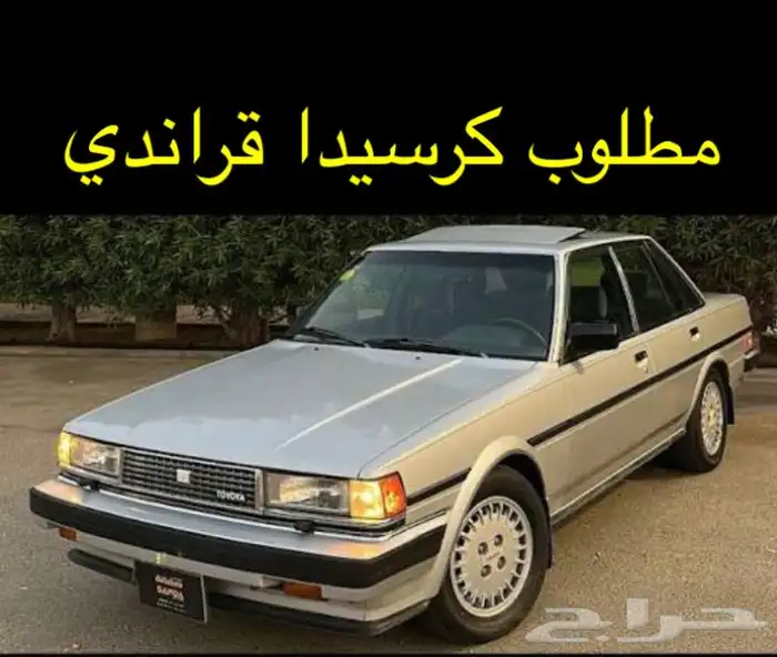 مطلوب كرسيدا قراند لو كانت مصدومه 0