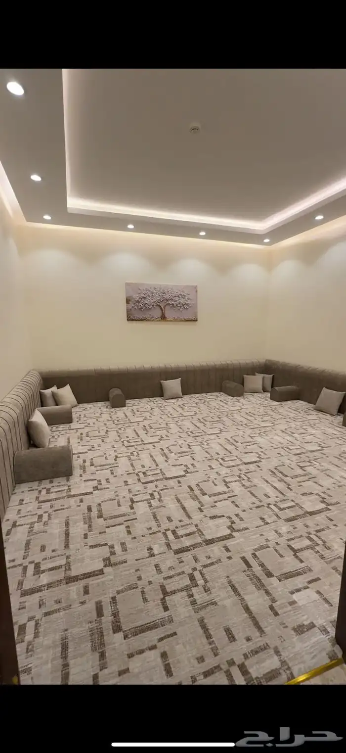 استراحة عرض شهر نوفمبر حي الغابة 11