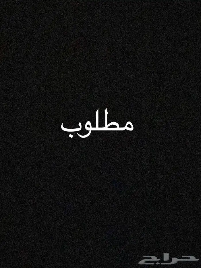 مطلوب شقه ايجار سنوي 0