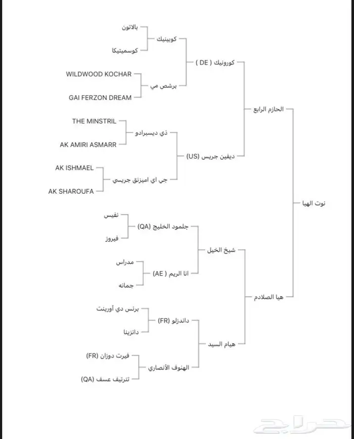 مهرة واهو دماء جمال 4