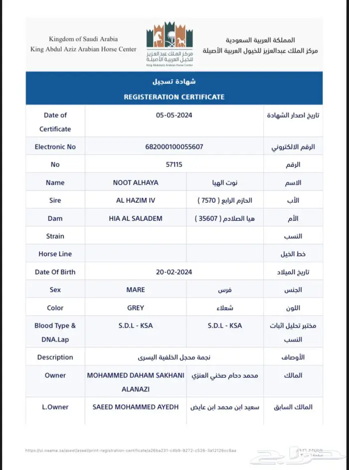 مهرة واهو دماء جمال 3