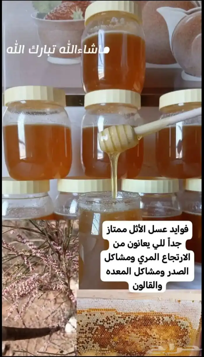 عسل الاثل اصلي 0