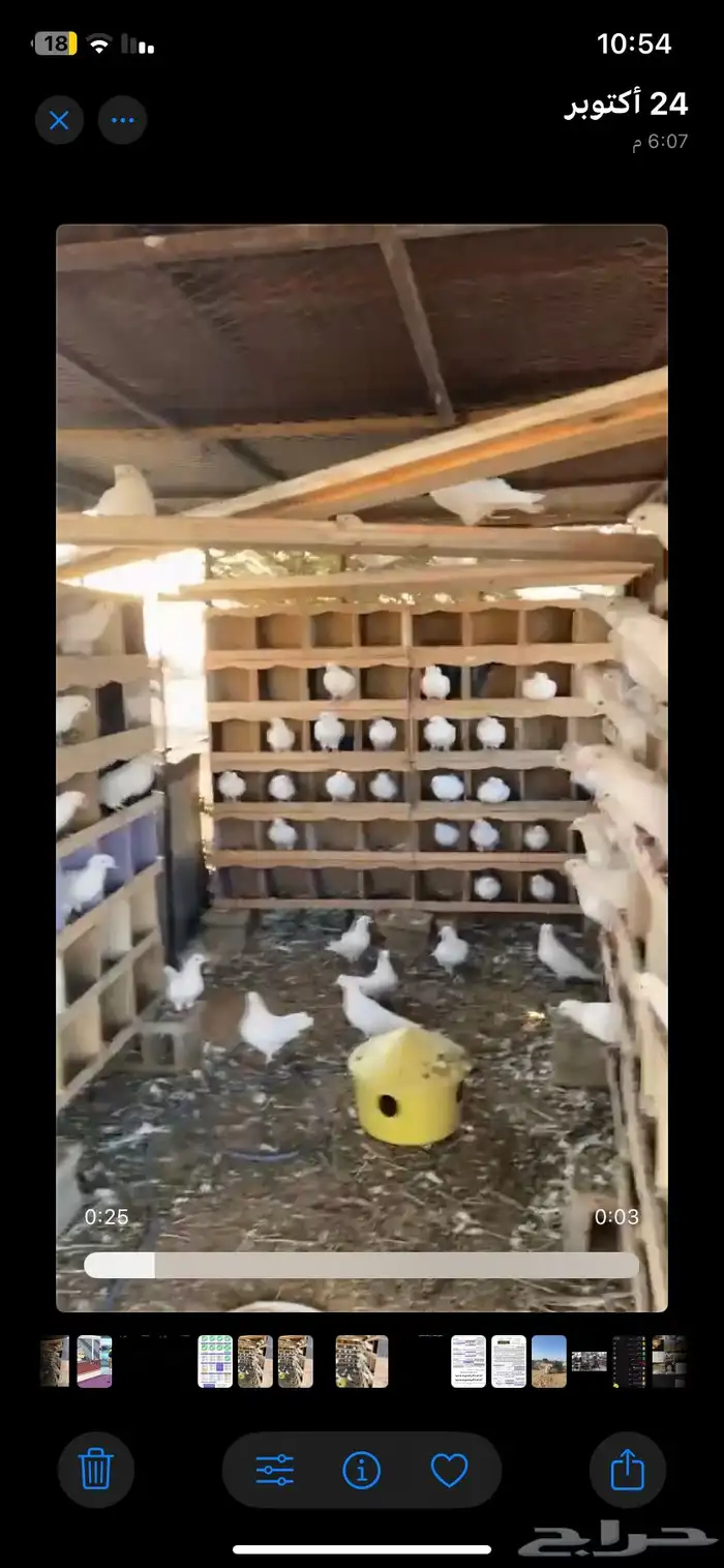 حمام فرنسي 1