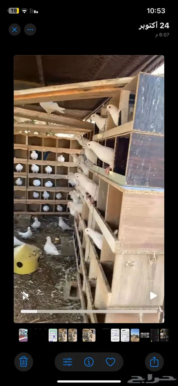 حمام فرنسي 6