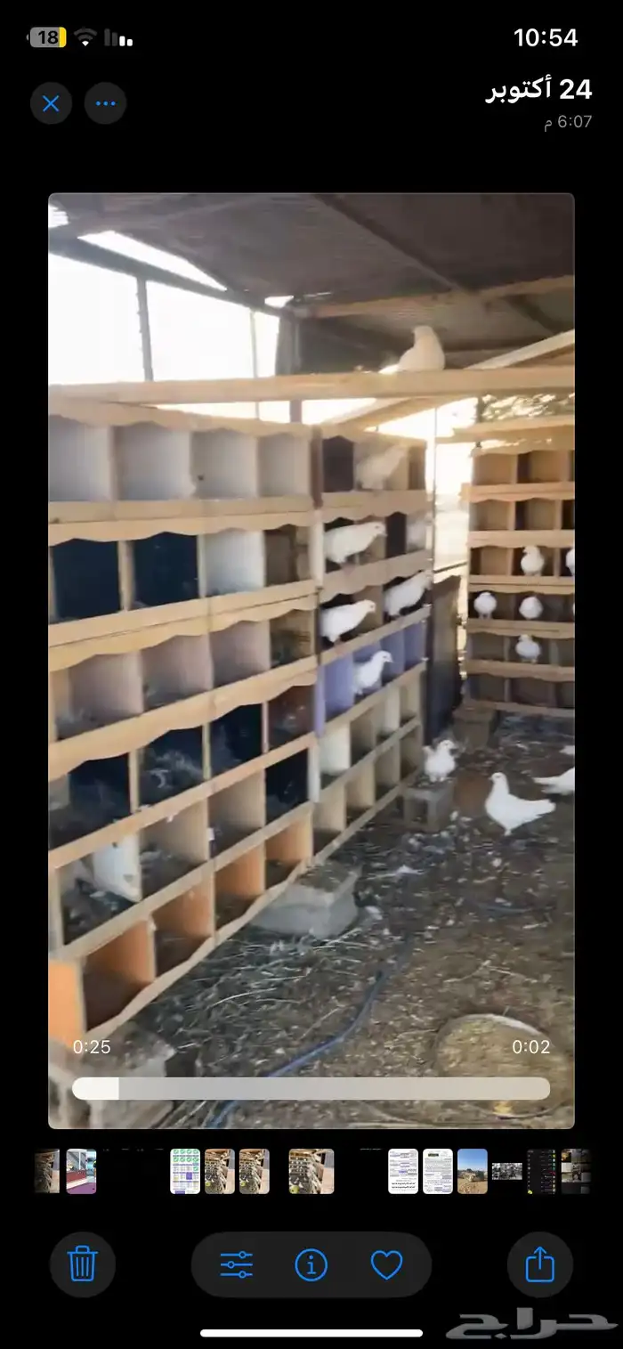 حمام فرنسي 2