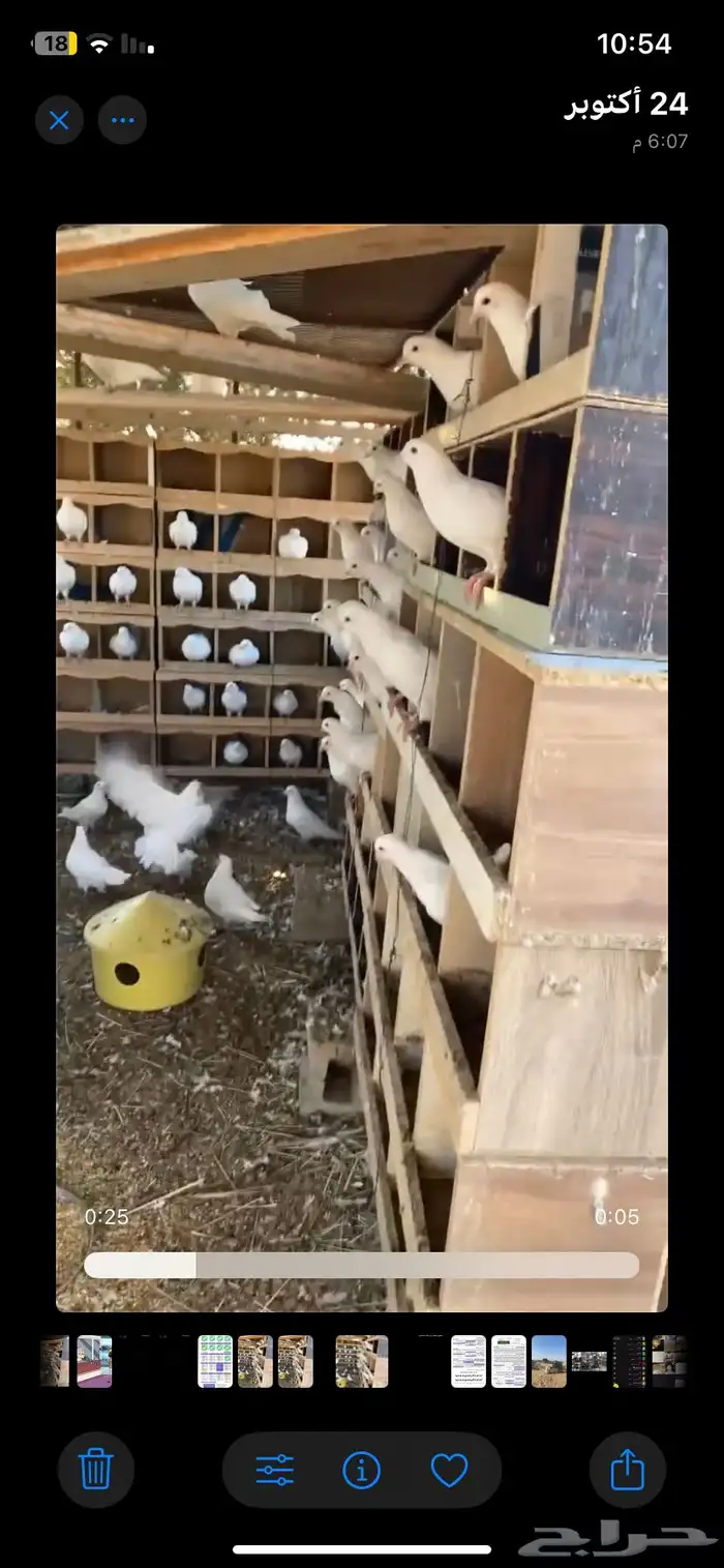 حمام فرنسي 0