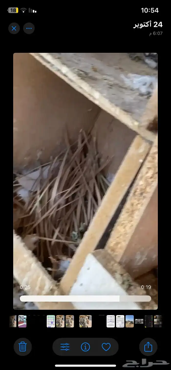 حمام فرنسي 3