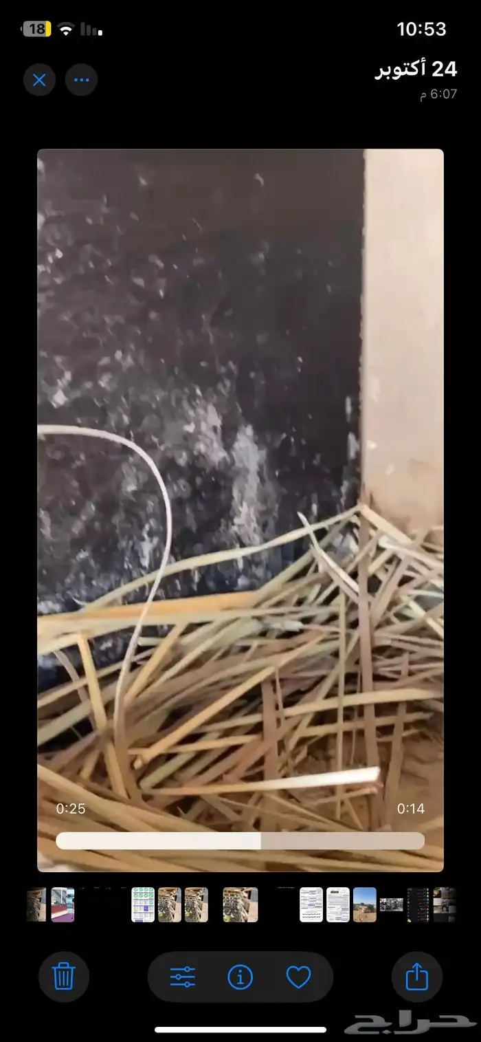 حمام فرنسي 5