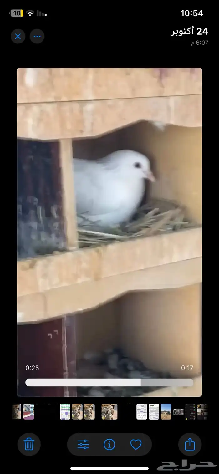 حمام فرنسي 4