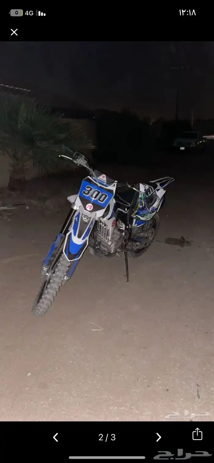 دباب صحراوي الصراحة فنان 1