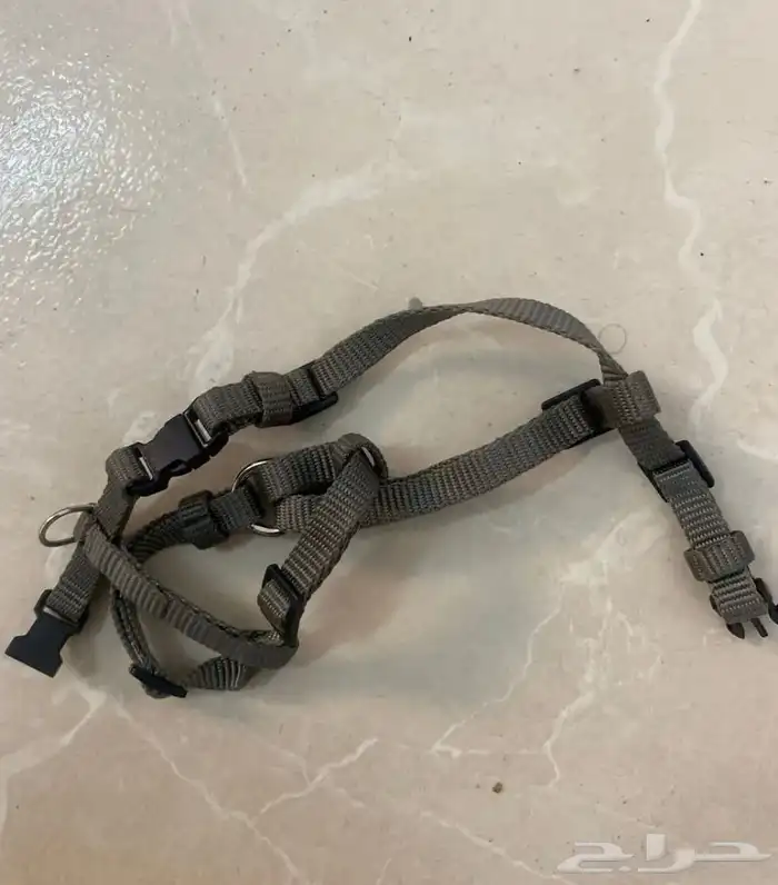 مستلزمات قطط 1