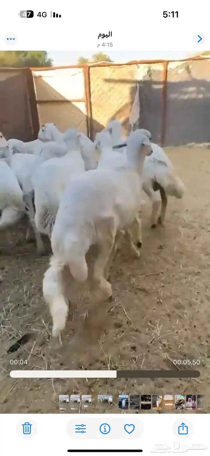 تم البيييع 0