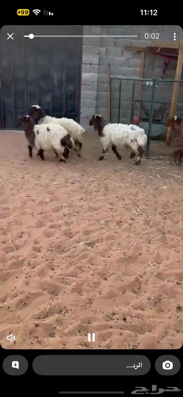 نعيم طيب وسعر طيب 1