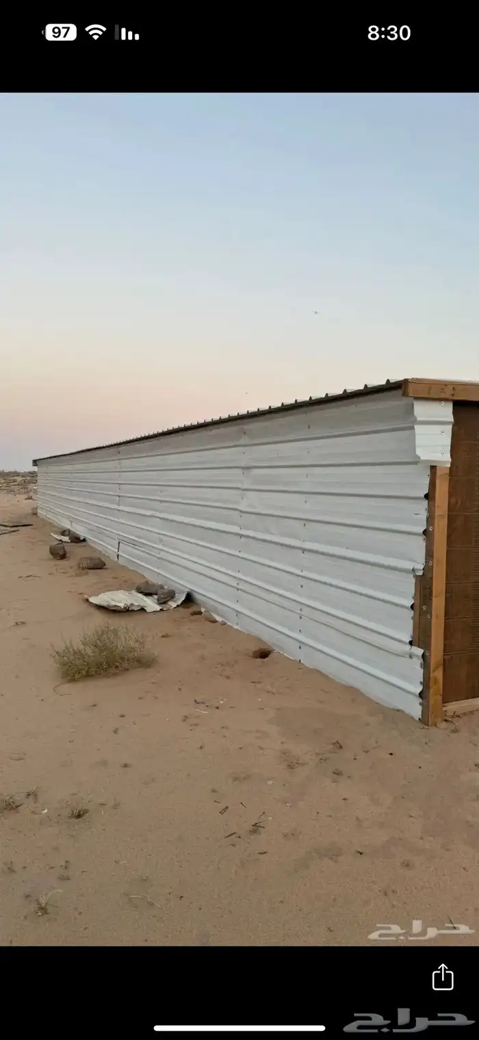 شينكو للبيع 0