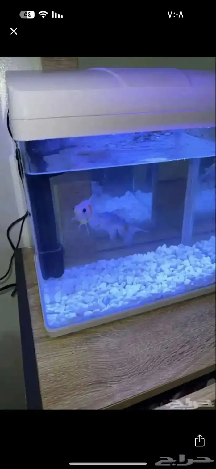 ملابس حوض سمك مع طعام سمك 0
