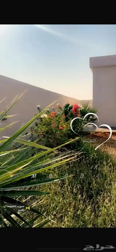 بيت للايجار بمخطط بني زيد برجال المع index