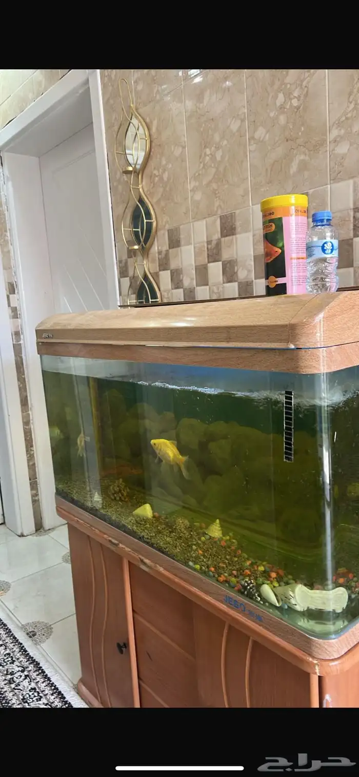 حوض سمك كبير 1